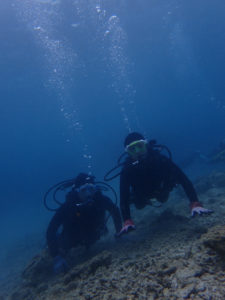 沖縄　崎本部　ゴリラチョップ　ダイビング　体験ダイビング　ビーチダイビング