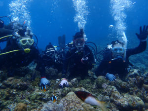 沖縄　慶良間　慶良間諸島　ダイビング　ファンダイビング　体験ダイビング　ボートダイビング