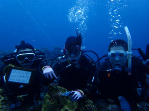 沖縄　慶良間　慶良間諸島　ダイビング　ファンダイビング　体験ダイビング　ボートダイビング