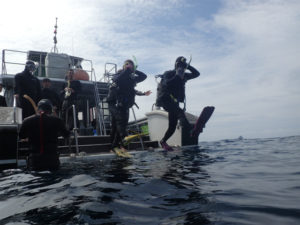 沖縄　慶良間　慶良間諸島　ダイビング　ボートダイビング　体験ダイビング　OW講習　PADI