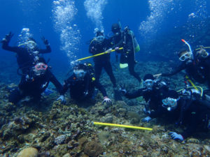 沖縄　慶良間　慶良間諸島　ダイビング　ボートダイビング　体験ダイビング