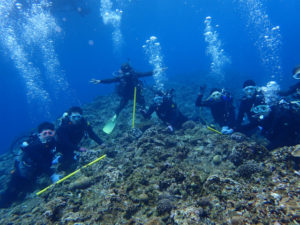 沖縄　慶良間　慶良間諸島　ダイビング　ボートダイビング　体験ダイビング