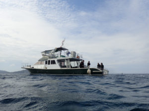 沖縄　慶良間　慶良間諸島　ダイビング　ボートダイビング　体験ダイビング　OW講習　PADI