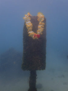 沖縄　那覇　NSP　那覇シーサイドパーク　ダイビング　ファンダイビング　ビーチダイビング