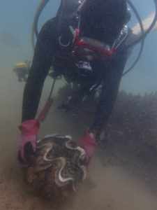 沖縄　那覇　NSP　那覇シーサイドパーク　ダイビング　ファンダイビング　ビーチダイビング