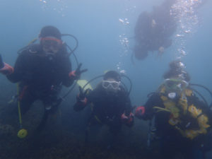 沖縄　那覇　NSP　那覇シーサイドパーク　ダイビング　ファンダイビング　ビーチダイビング