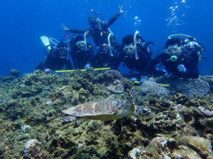 沖縄　ダイビング　慶良間　体験ダイビング