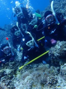 沖縄　ダイビング　慶良間　体験ダイビング