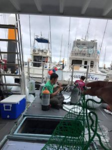 沖縄　北谷　ダイビング　アルファダイブ