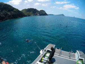 沖縄　慶良間　慶良間諸島　自社船　ダイビング　ボートダイビング　体験ダイビング　ファンダイビング