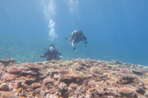 沖縄　ダイビング　慶良間　FUNダイビング　自社船