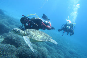 沖縄　ダイビング　慶良間　FUNダイビング　自社船