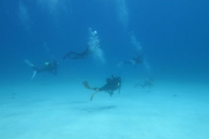 沖縄　ダイビング　慶良間　FUNダイビング　自社船