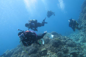 沖縄　慶良間　慶良間諸島　自社船　ダイビング　ボートダイビング　体験ダイビング　ファンダイビング