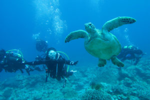 沖縄　慶良間　慶良間諸島　自社船　ダイビング　ボートダイビング　体験ダイビング　ファンダイビング