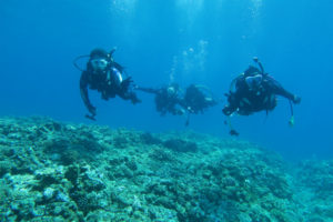 沖縄　慶良間　慶良間諸島　自社船　ダイビング　ボートダイビング　体験ダイビング　ファンダイビング