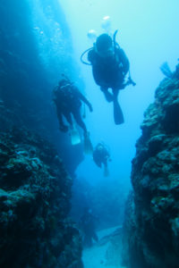 沖縄　慶良間　慶良間諸島　自社船　ダイビング　ボートダイビング　体験ダイビング　ファンダイビング