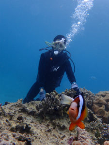 沖縄　本部　ゴリラチョップ　ダイビング　体験ダイビング