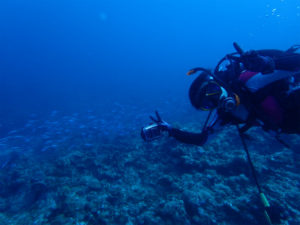 沖縄　ダイビング　慶良間　自社船　FUNダイビング　ドリフト