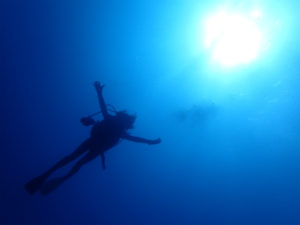 沖縄　ダイビング　慶良間　自社船　FUNダイビング　ドリフト