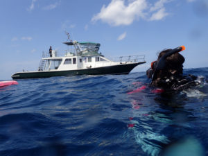 沖縄　ダイビング　慶良間　自社船　FUNダイビング　ドリフト