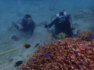 沖縄　ダイビング　ビーチ　体験ダイビング