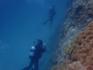 沖縄　北谷　嘉手納　読谷　ダイビング　ボートダイビング　DM講習