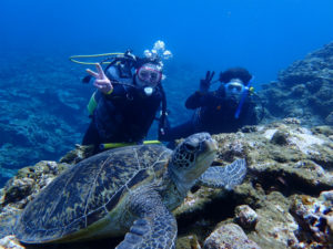 沖縄　慶良間　慶良間諸島　自社船　ダイビング　ボートダイビング　体験ダイビング　ファンダイビング