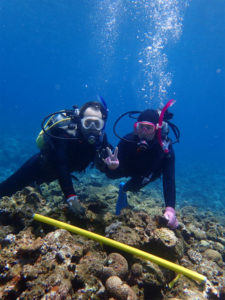 沖縄　慶良間　慶良間諸島　自社船　ダイビング　ボートダイビング　体験ダイビング　ファンダイビング