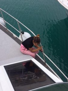 沖縄　ダイビング　ボートダイビング　自社船　アルファダイブ