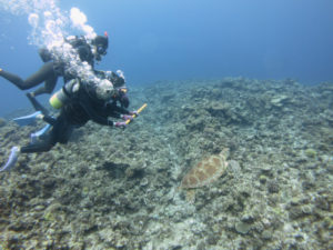 沖縄　ダイビング　慶良間　体験ダイビング