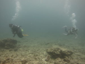 沖縄　砂辺　北谷　ダイビング　ファンダイビング　ビーチダイビング