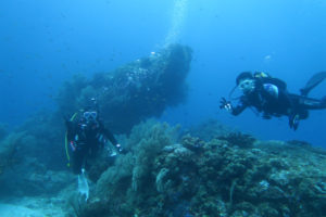 沖縄　ダイビング　慶良間　体験ダイビング　FUNダイビング　ドリフト