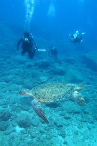 沖縄　ダイビング　渡名喜　ドリフト