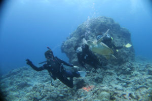 沖縄　慶良間　慶良間諸島　ダイビング　体験ダイビング　ファンダイビング　ボートダイビング