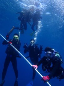 沖縄　ダイビング　慶良間　体験ダイビング　FUNダイビング　ドリフト