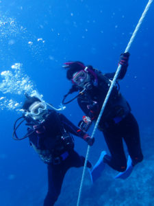 沖縄　慶良間　慶良間諸島　ダイビング　体験ダイビング　ファンダイビング　ボートダイビング