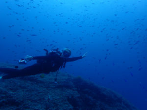 沖縄　ダイビング　慶良間