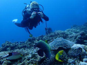 沖縄　ダイビング　慶良間