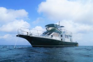 沖縄　ダイビング　ボートダイビング　自社船　アルファダイブ