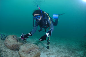 沖縄　恩納村　山田　ダイビング　ボートダイビング　