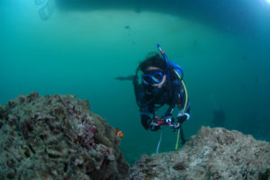 沖縄　恩納村　山田　ダイビング　ボートダイビング　