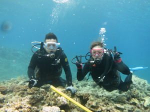 沖縄　ダイビング　慶良間　FUNダイビング　体験ダイビング