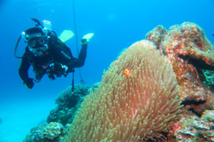 沖縄　ダイビング　慶良間　FUNダイビング　体験ダイビング