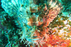 沖縄　ダイビング　砂辺　FUNダイビング