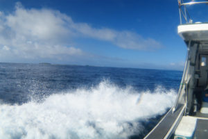 沖縄　チービシ諸島　ナガンヌ島　クエフ島　ダイビング　ファンダイビング　ボートダイビング　