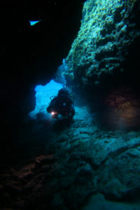 沖縄　慶良間　慶良間諸島　ファンダイビング　ボートダイビング