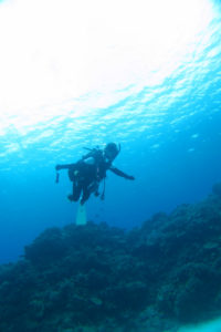 沖縄　慶良間　慶良間諸島　ファンダイビング　ボートダイビング