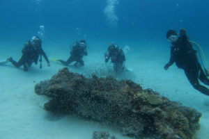 沖縄　慶良間　慶良間諸島　ファンダイビング　ボートダイビング