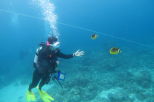 沖縄　慶良間　慶良間諸島　ファンダイビング　ボートダイビング